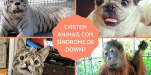 Animais podem ter Síndrome de Down?