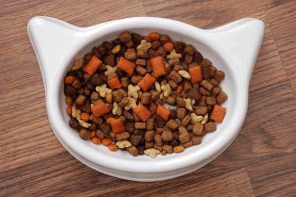 Ração com corante faz mal para cães e gatos? - Por que os fabricantes fazem rações coloridas?