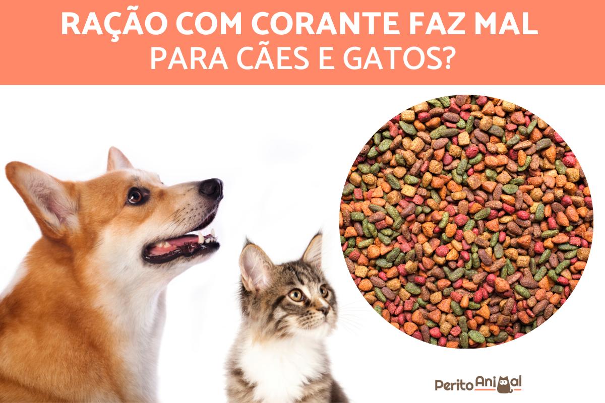 Ração com corante faz mal para cães e gatos?