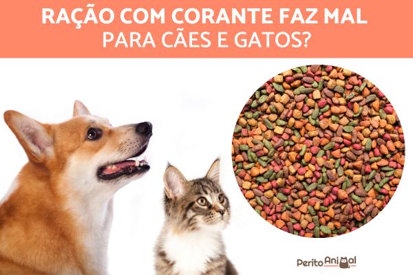 Ração com corante faz mal para cães e gatos?