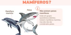 Peixe mamífero existe?