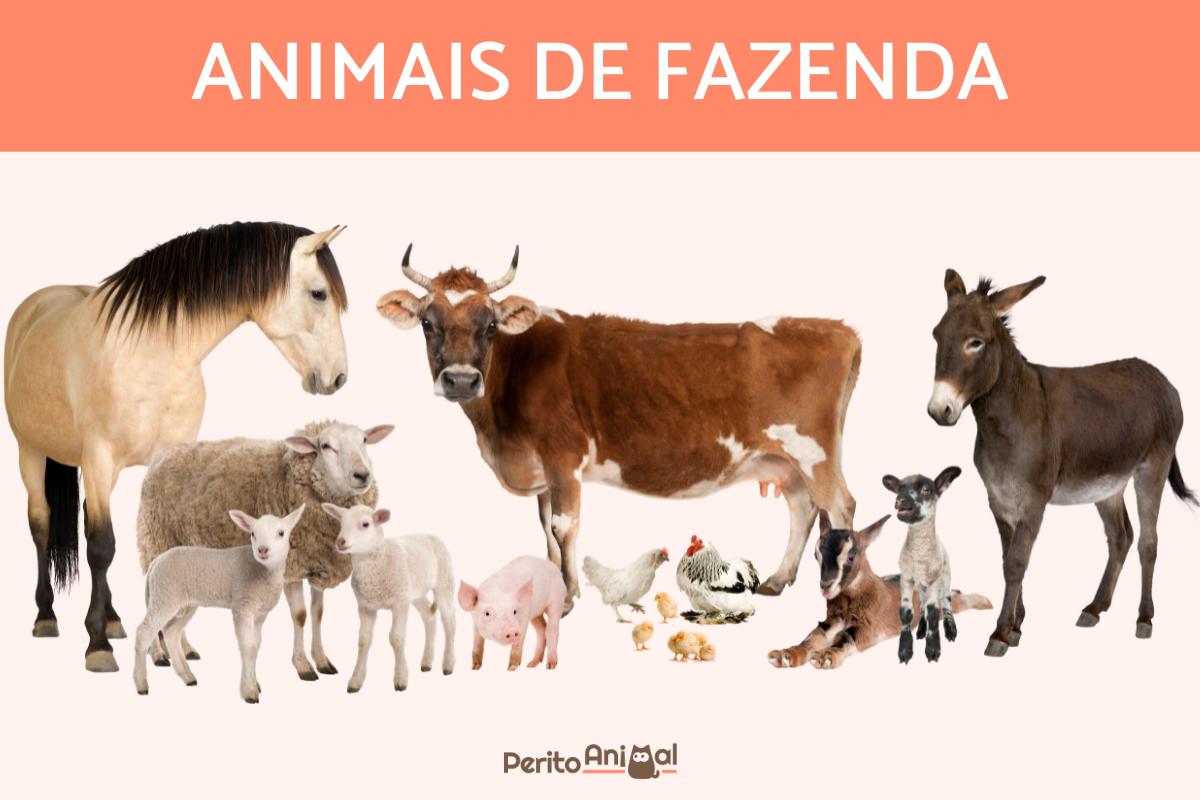 Animais de fazenda