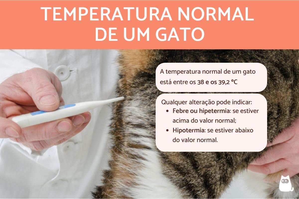 Qual a temperatura normal de um gato?
