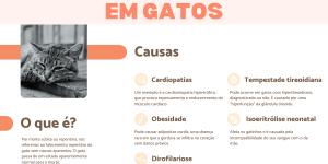 Quais são as causas da morte repentina em gatos?