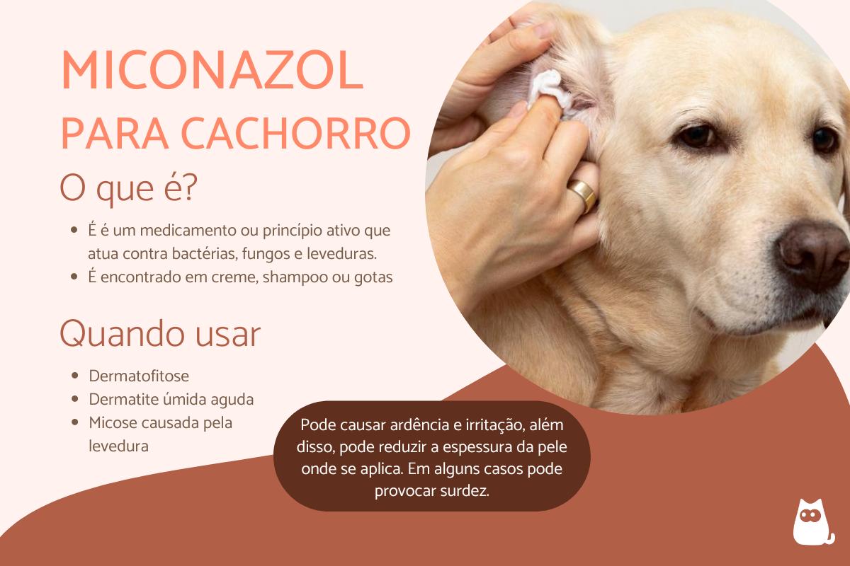 Miconazol para cachorro – Doses e para que serve