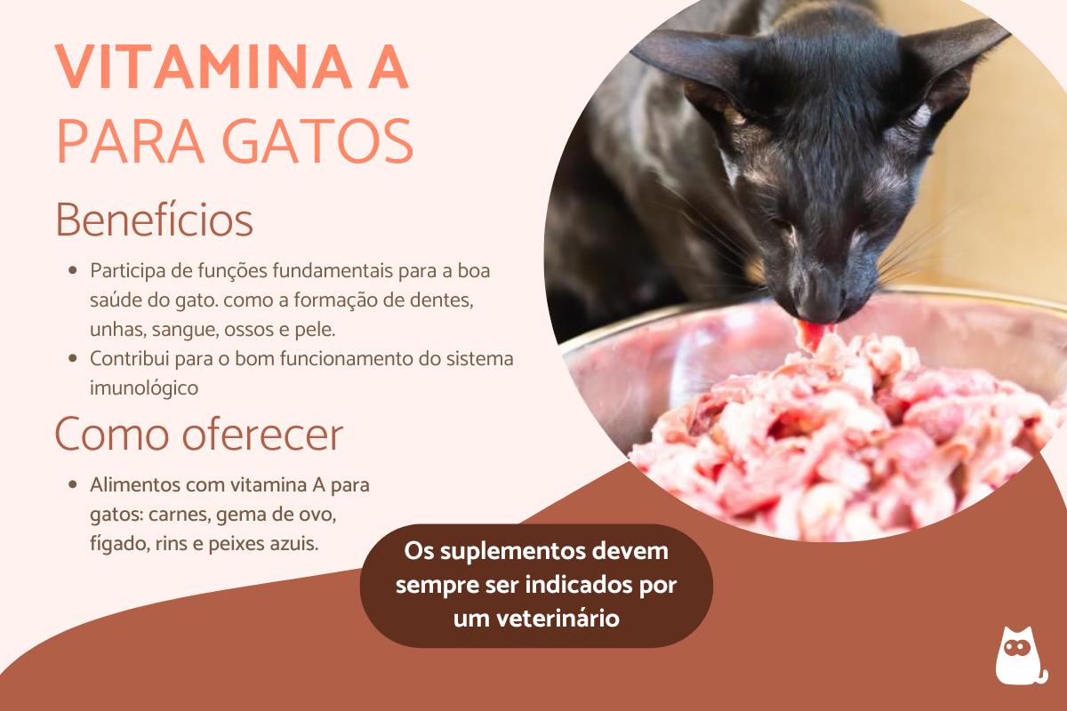 Vitamina A para gatos – Dosagem e para que serve