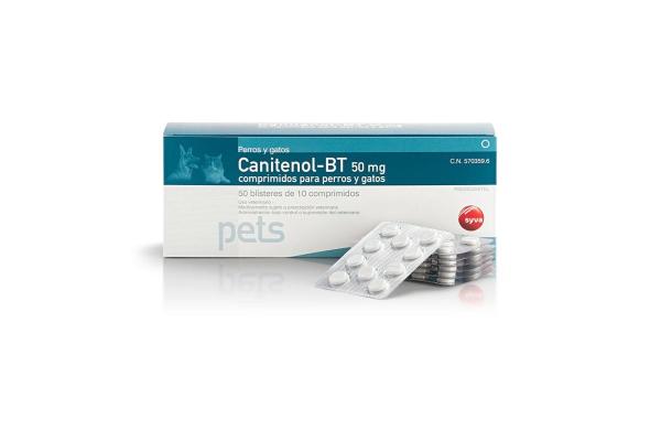 Praziquantel para cachorros - Dosagem de praziquantel para cachorros
