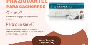 Praziquantel para cachorros