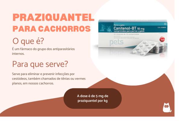 Praziquantel para cachorros