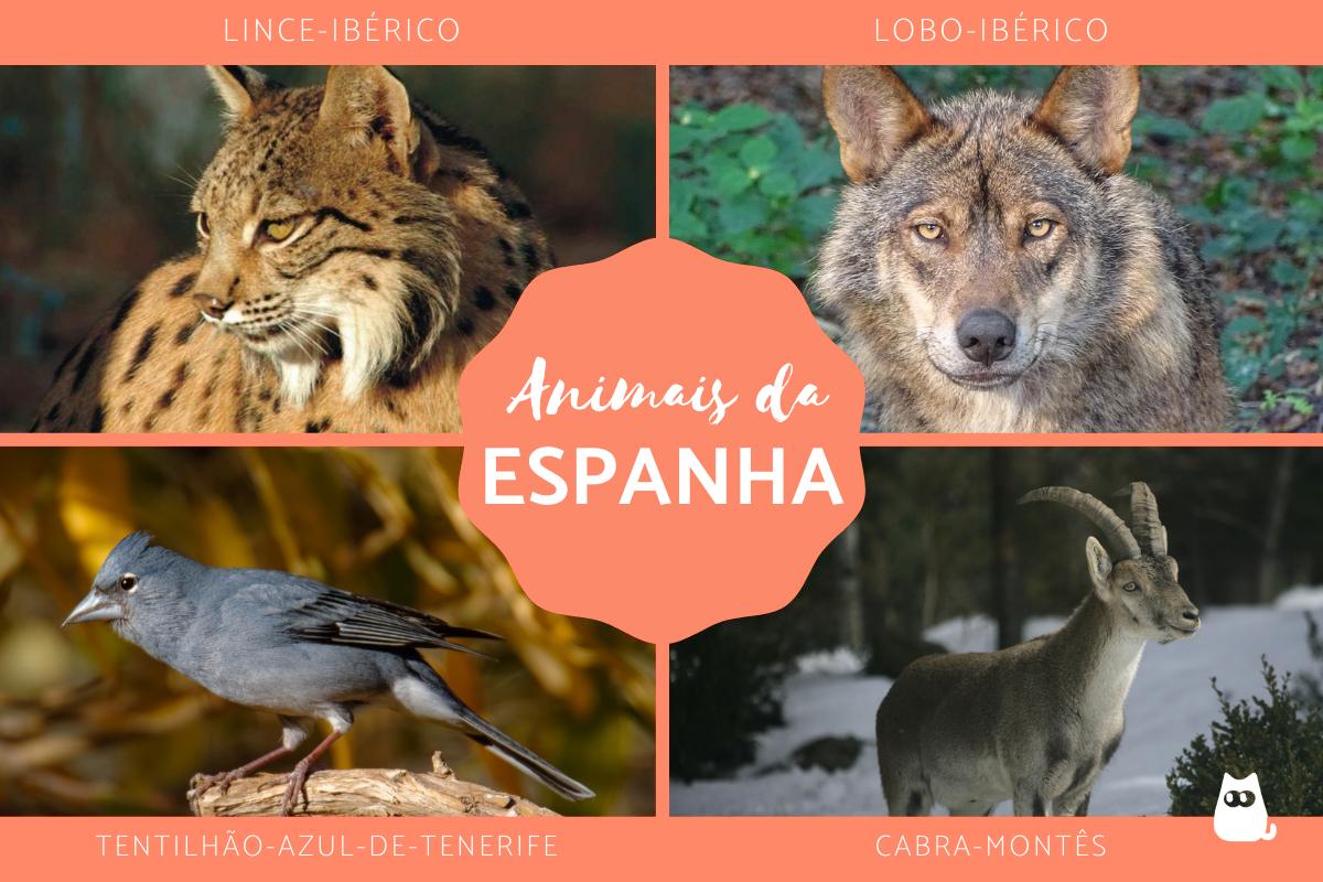 Animais da Espanha
