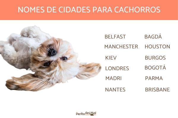 Nomes de cidades para cachorros