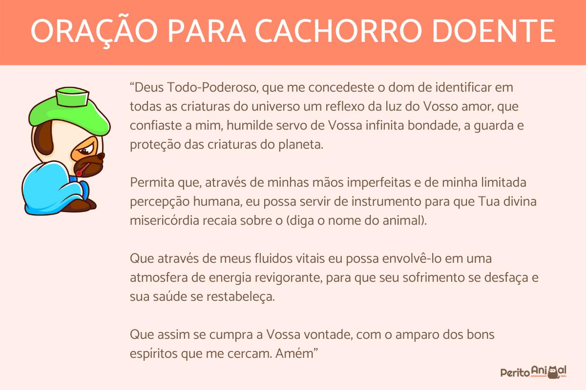 Orações para animais doentes