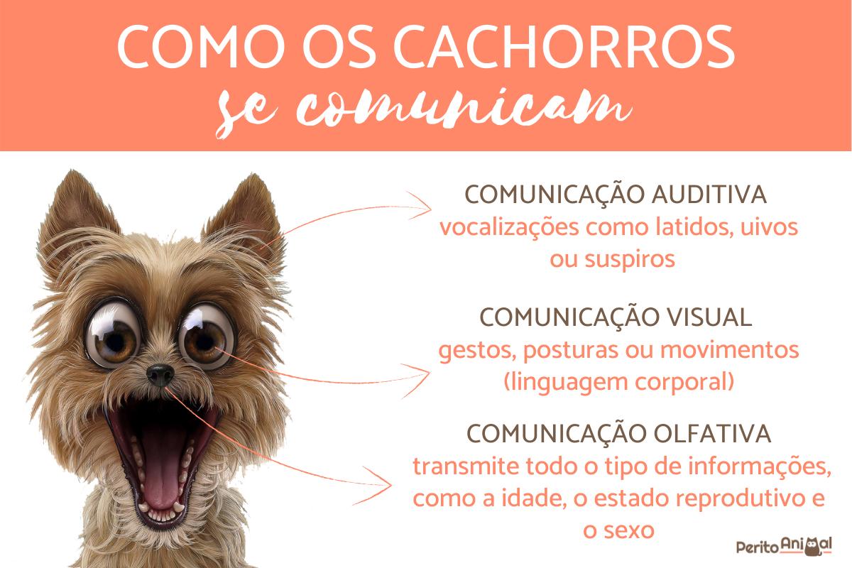 Como os cachorros se comunicam?