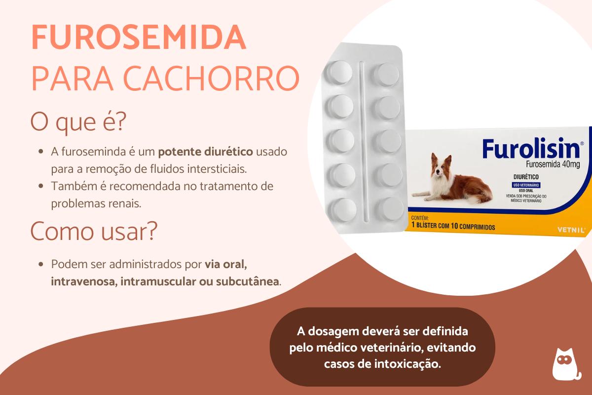 Furosemida para cachorro: para que serve e como usar