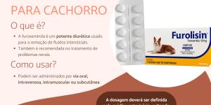 Furosemida para cachorro: para que serve e como usar