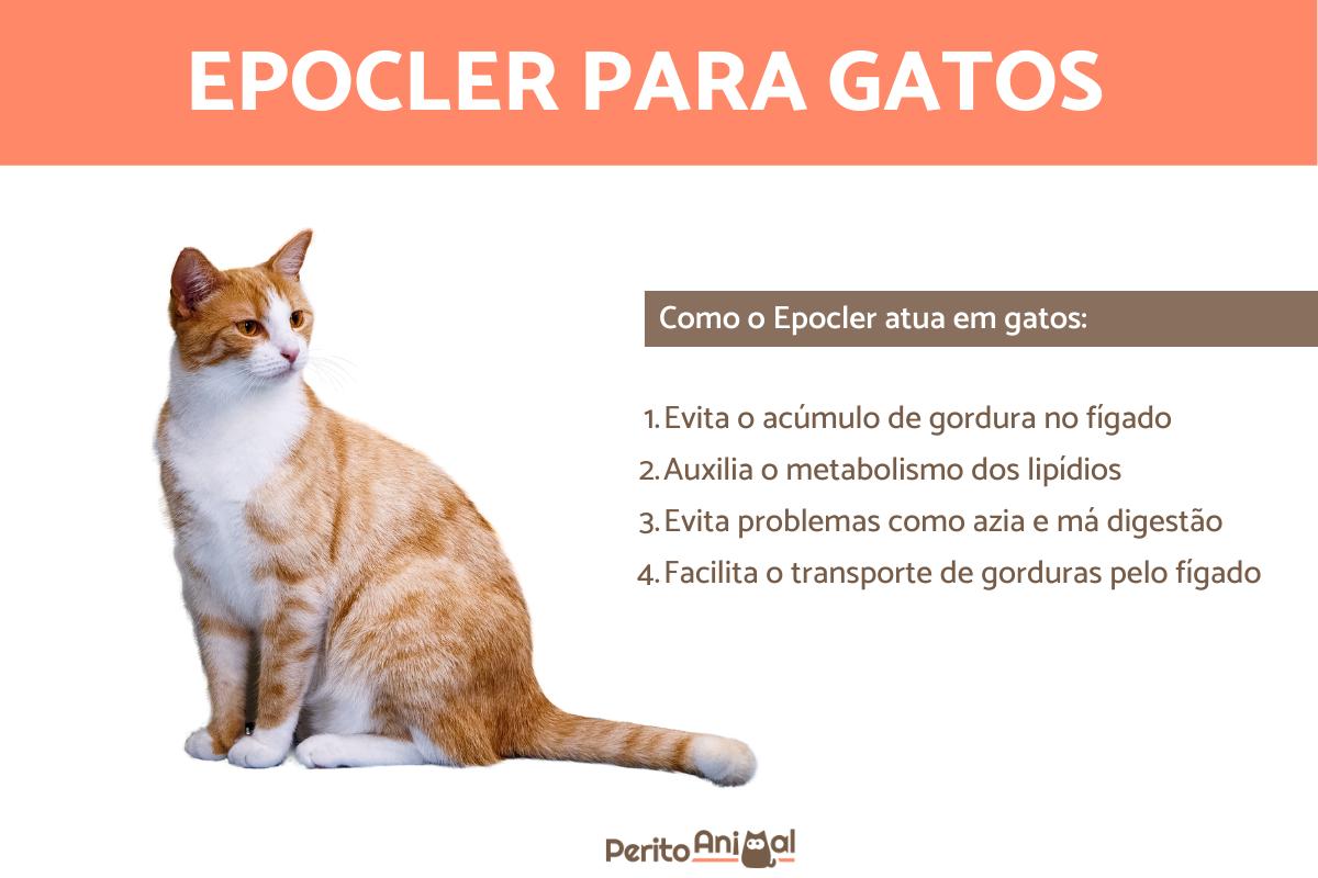 Epocler para gatos - O que é e como atua