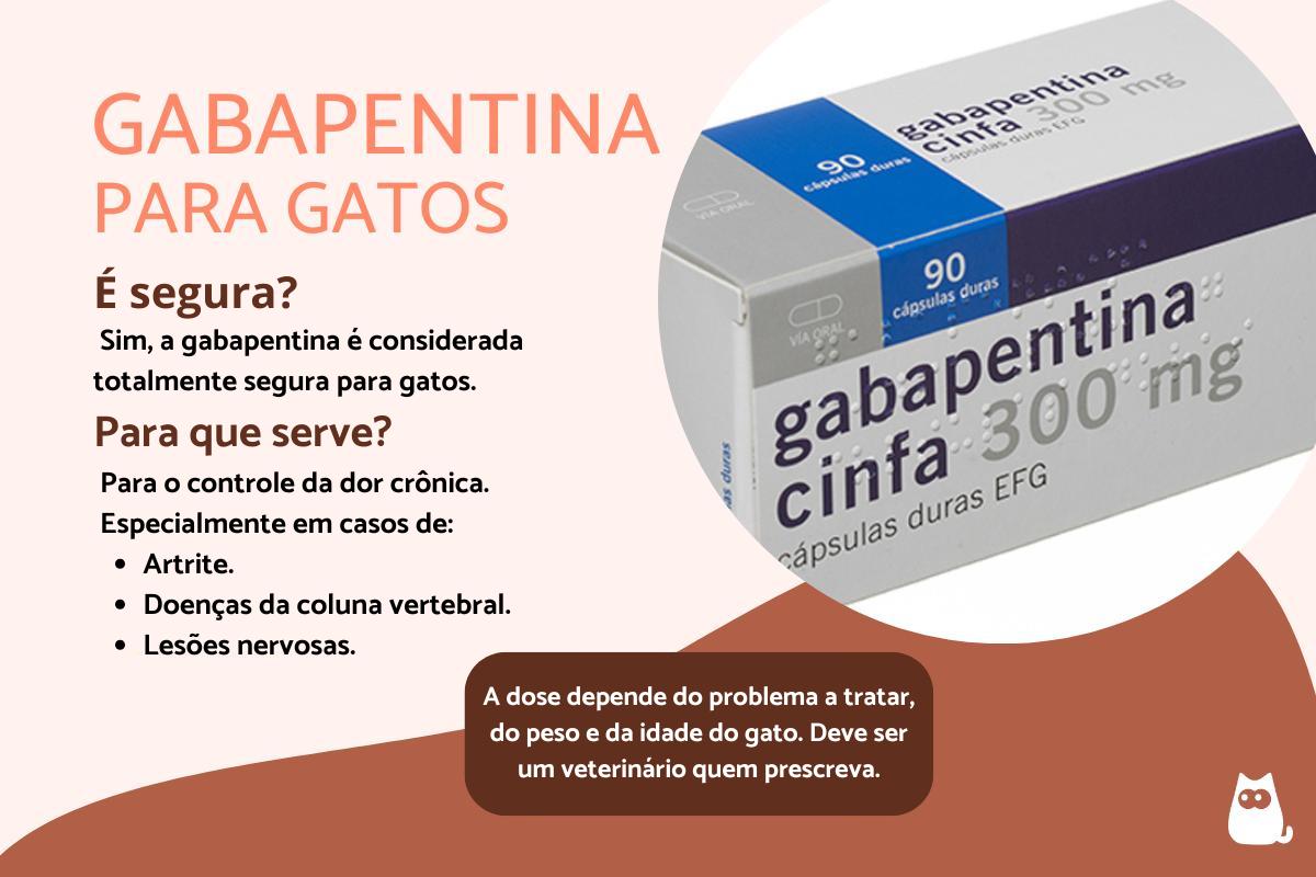 Gabapentina para gatos: doses e usos