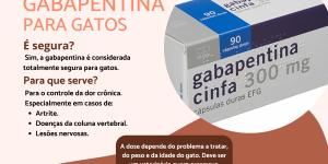 Gabapentina para gatos: doses e usos