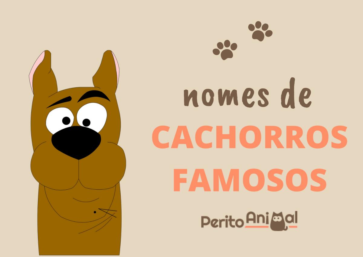 Nomes de cachorros famosos