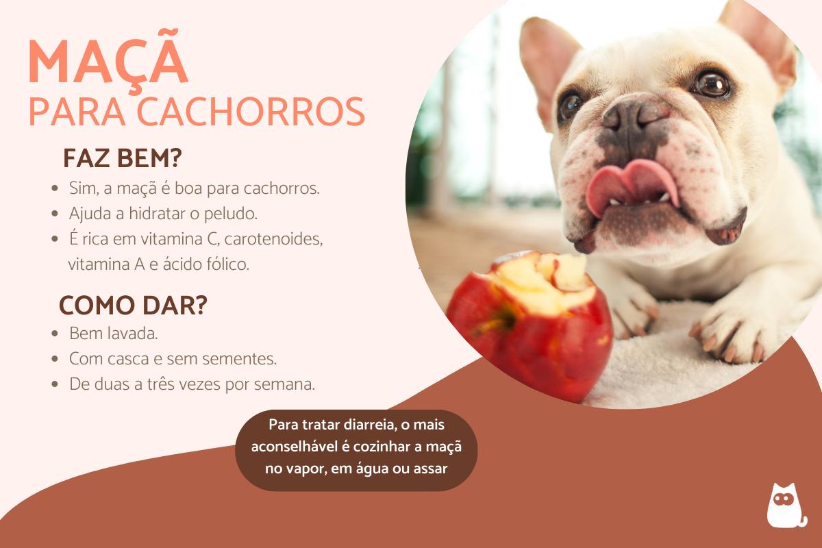 Cachorro pode comer maçã?