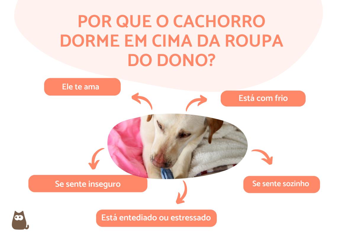 Por que o cachorro dorme em cima da roupa do dono?