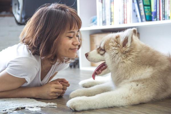 O que um cão sente quando os donos saem de casa? - 