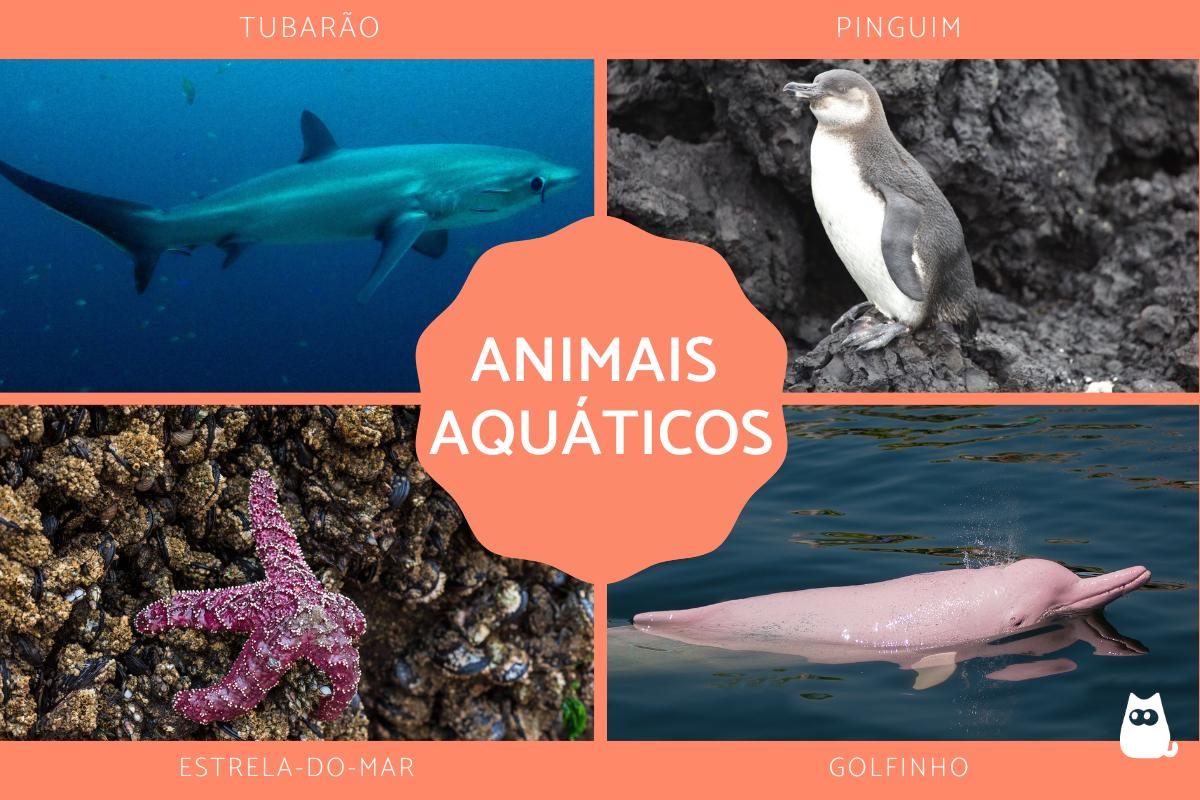 Animais aquáticos