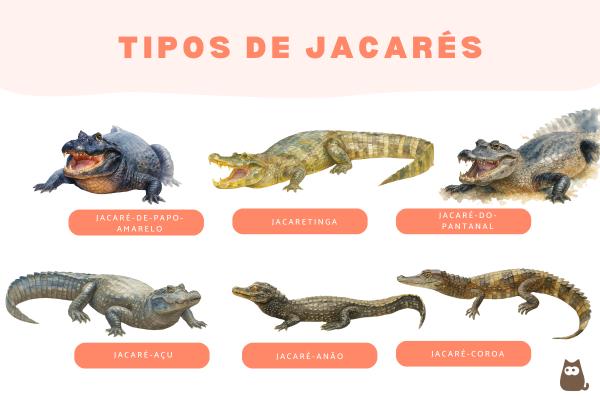 Tipos de jacarés