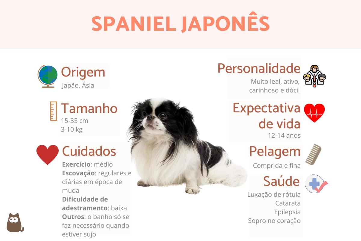 Spaniel japonês