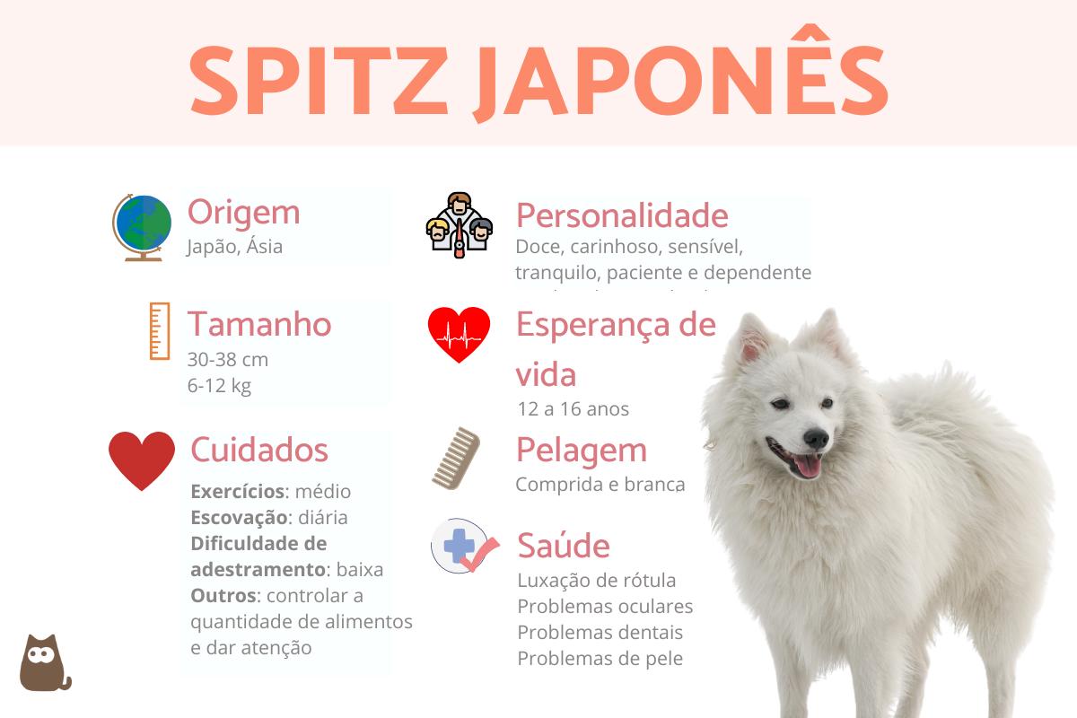 Spitz Japonês