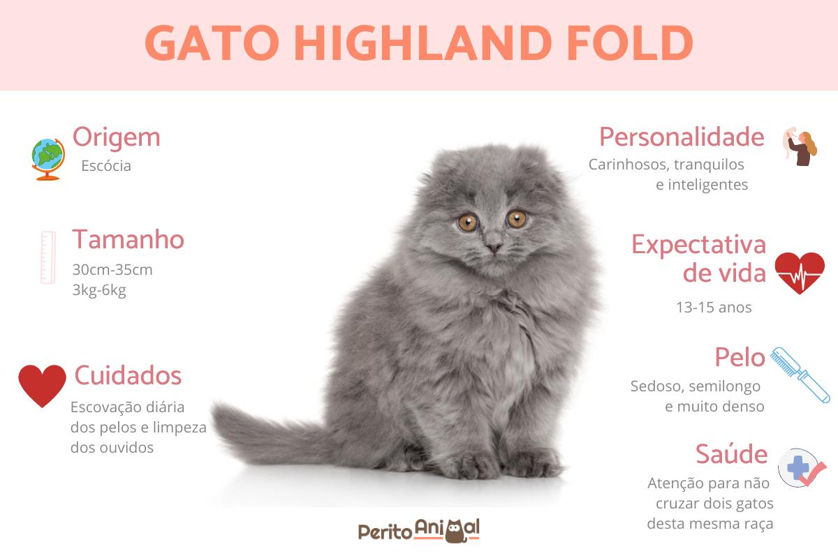 Gato highland fold