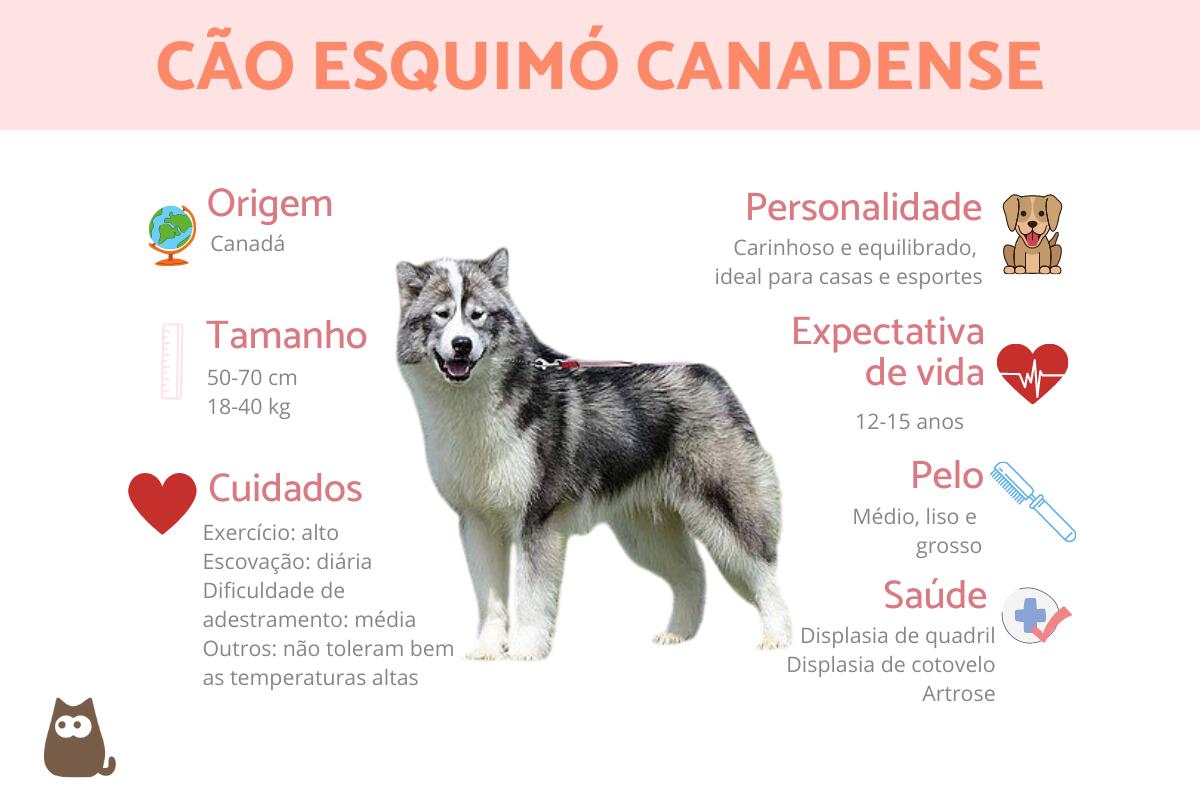 Cão‐esquimó‐canadense