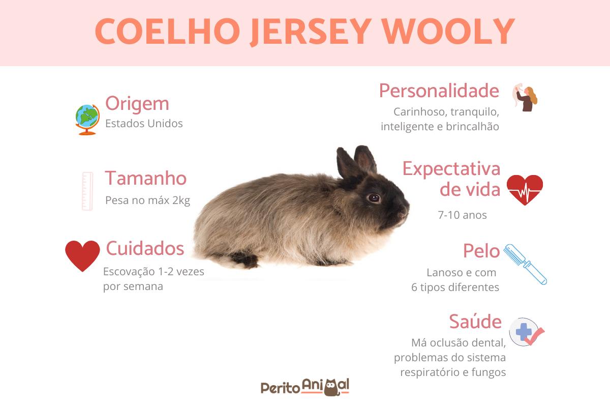 Coelho Jersey wooly