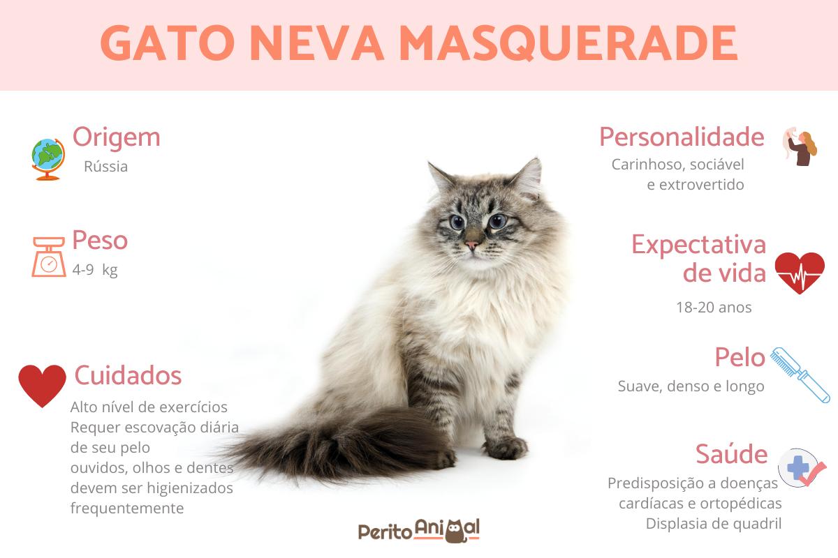 Gato neva masquerade