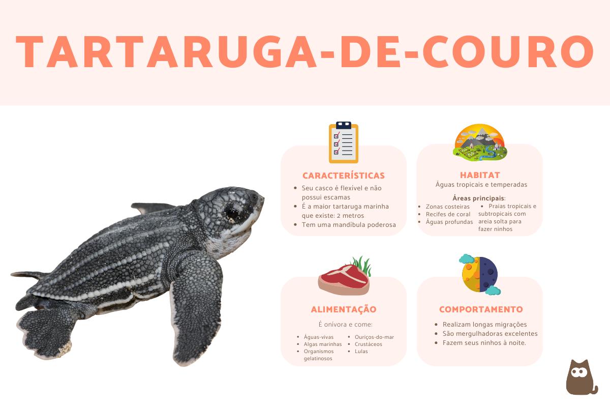 Tartaruga-de-couro