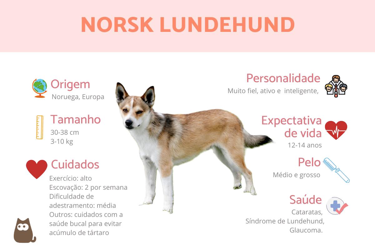 Norsk lundehund