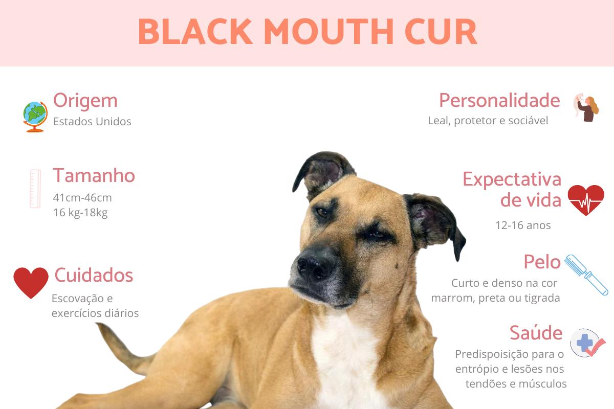 Black mouth cur