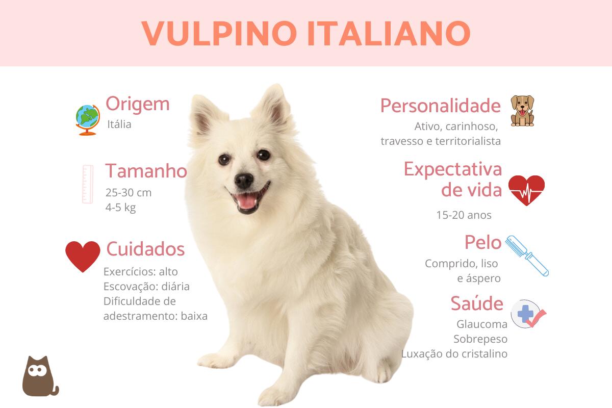 Vulpino-italiano