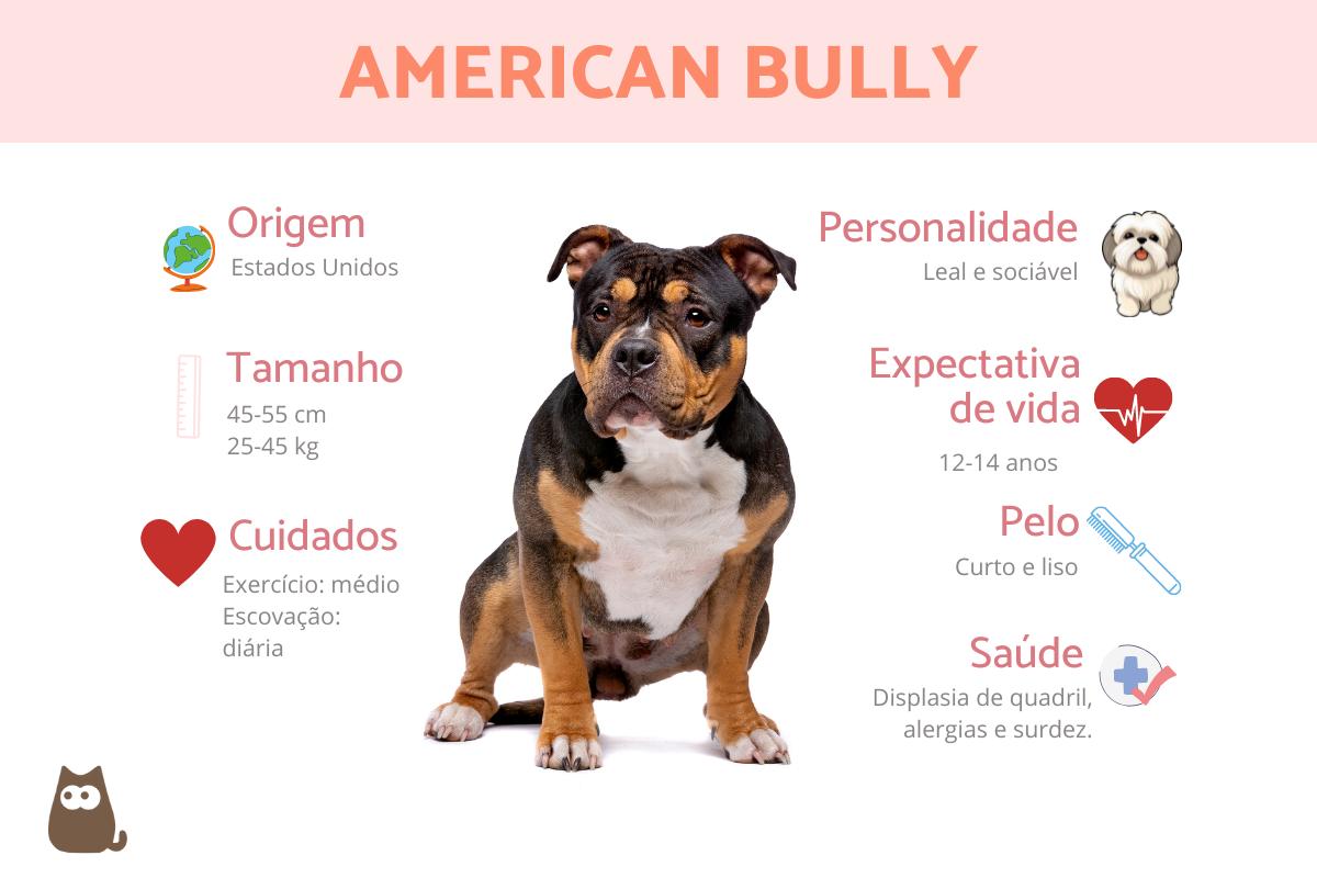 American Bully