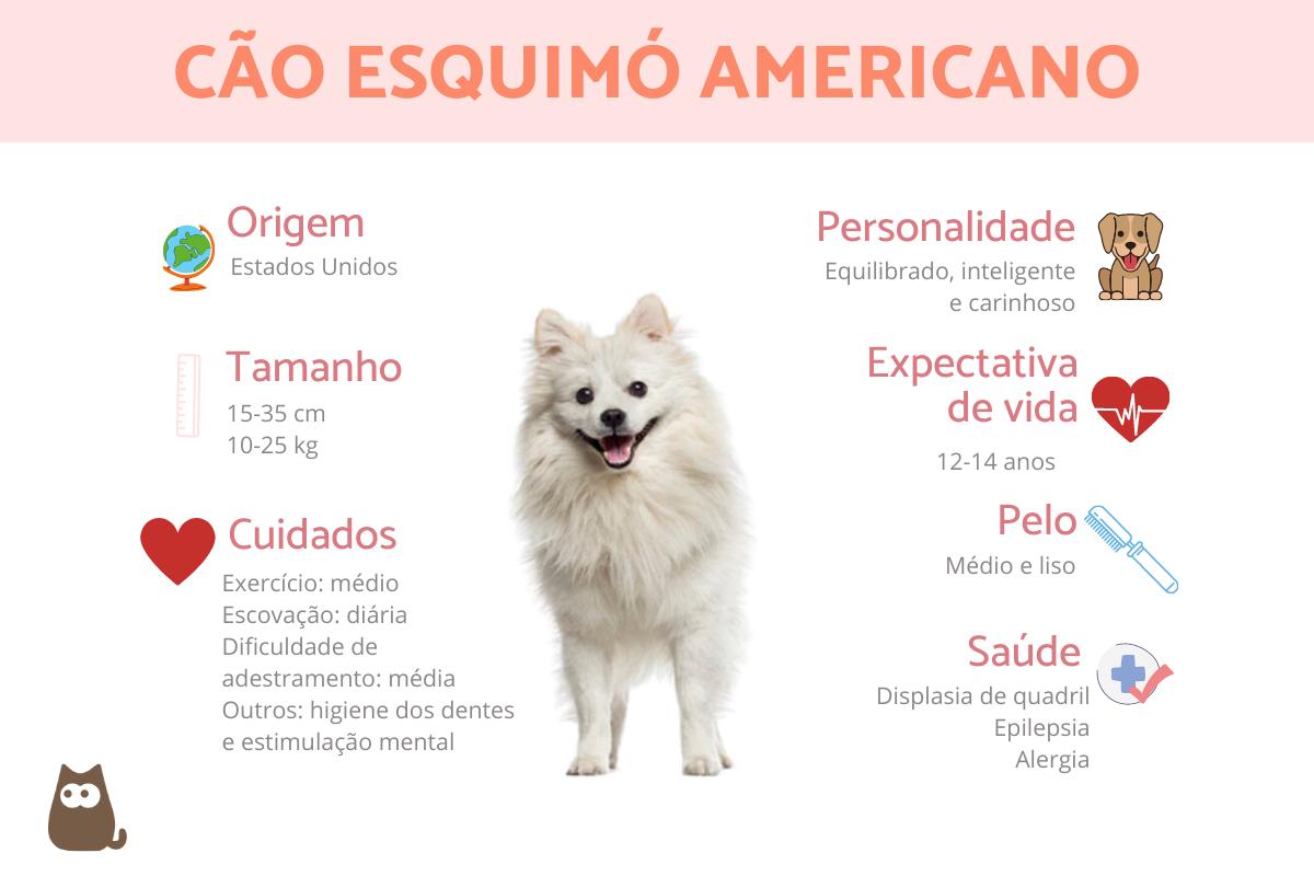 Cão esquimó americano